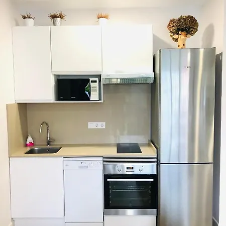 Rosales Y Jardin Appartement Oviedo